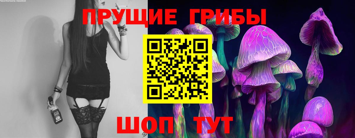 Галлюциногенные грибы прущие грибы  Вход с VPN  Псилоцибиновые грибы Magic Shrooms  Зеленодольск 